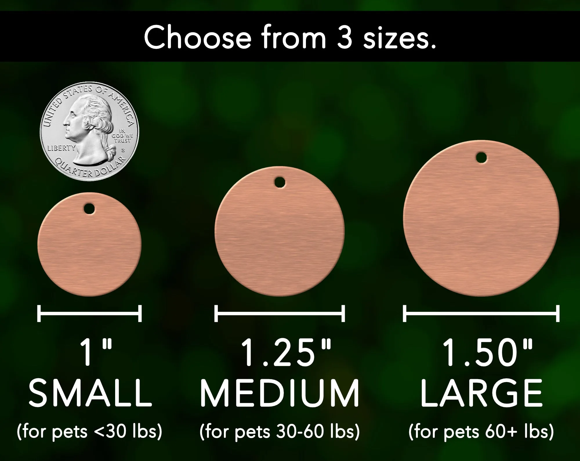 Simple Dog Tag