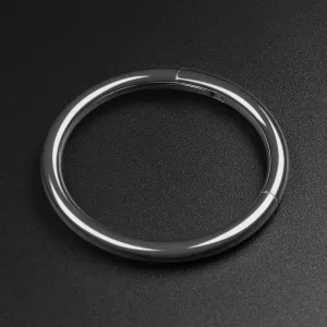 Titanium Hinged Segment Ring